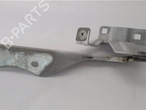 Hinge/Door check strap NISSAN QASHQAI II (J11, J11_)  | BP25719179C146 