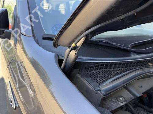 Used Hinge/Door check strap Hinge/Door check strap MITSUBISHI OUTLANDER III (GG_W, GF_W, ZJ, ZL, ZK) Plug-in Hybrid (GG2W) (200 hp) 29135171 29135171