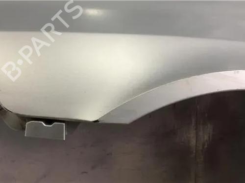 Left front fenders RENAULT LAGUNA II (BG0/1_) 2.0 16V IDE (BG0N) | BP11342812C41 