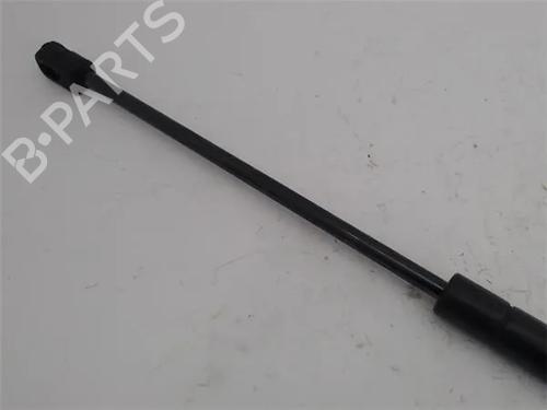 Hood lift support AUDI A3 (8L1) 1.9 TDI | BP17756159C139 