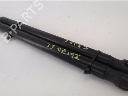 Tailgate lift support SEAT IBIZA III (6L1) 1.4 16V | BP24415900C138