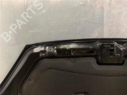 Hood PEUGEOT 1007 (KM_)  | BP16936923C1