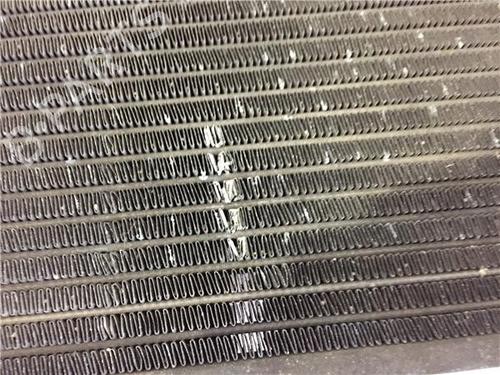 Køler SEAT IBIZA III (6L1) 1.9 TDI | BP11789209M31