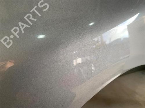 Left front fenders SEAT IBIZA III (6L1) 1.9 TDI | BP22432900C41 