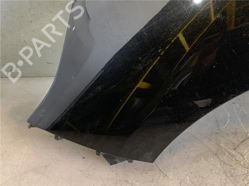 Left front fenders RENAULT GRAND SCÉNIC III (JZ0/1_) 1.5 dCi (JZ0B, JZ07) | BP29134658C41 