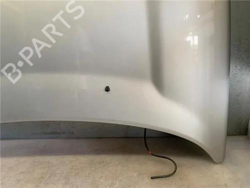 Hood LAND ROVER FREELANDER I (L314)  | BP17764533C1
