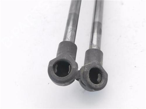 Tailgate lift support NISSAN QASHQAI I (J10, NJ10) 1.5 dCi | BP30154109C138