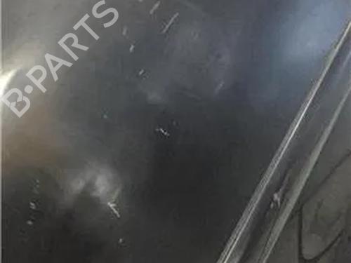 Left front door VW POLO (9N_, 9A_)  | BP11362783C2 