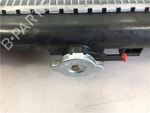 Water radiator NISSAN ALMERA II (N16)  | BP11789208M31