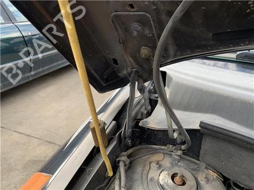 BP32417963C146 main image