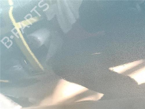 Left rear door RENAULT SCÉNIC II (JM0/1_)  | BP22433056C4 