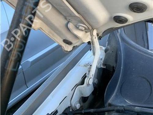 Hinge/Door check strap BMW 3 (E90) 330 d | BP32418668C146 