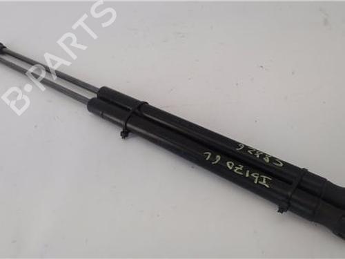 Tailgate lift support SEAT IBIZA III (6L1) 1.4 16V | BP24415900C138
