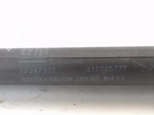 Tailgate lift support OPEL VECTRA C Estate (Z02) 1.9 CDTI (F35) | BP23842526C138 