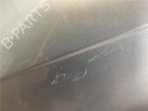 Left front fenders KIA CARNIVAL II (GQ) 2.9 TDi | BP13398114C41 