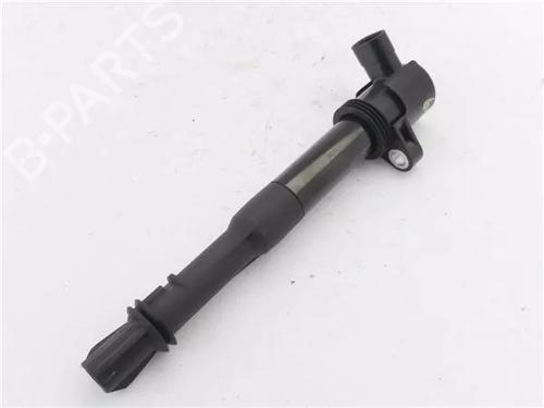 Ignition coil FIAT STILO (192_)  | BP24315380M94 