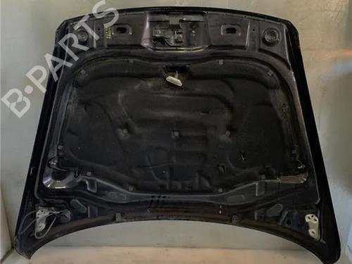 Hood VW TOUAREG (7LA, 7L6, 7L7) 5.0 V10 TDI | BP15648704C1 