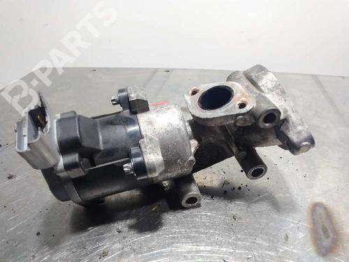 Egr LAND ROVER DISCOVERY III (L319) 2.7 TD 4x4 | BP9996402M69