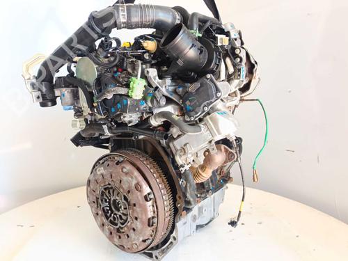 Engine NISSAN QASHQAI II (J11, J11_) 1.6 dCi | BP36359677M1  - Image 9