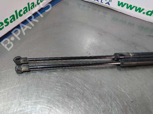 Tailgate lift support NISSAN QASHQAI I (J10, NJ10)  | BP14353919C138 