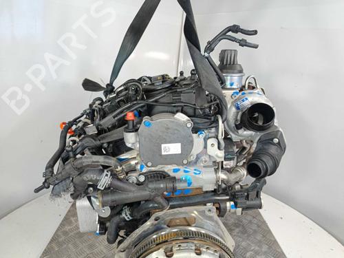 Engine AUDI A3 (8P1) 2.0 TDI 16V | BP40534772M1 - Image 12