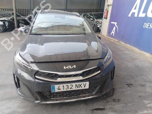 - Image 6