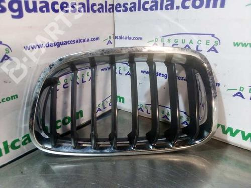 Grill / Grid BMW 1 (F20) 116 d (116 hp) 9994536