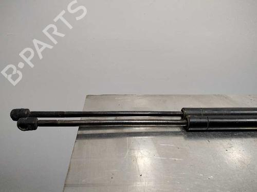Tailgate lift support LAND ROVER RANGE ROVER SPORT I (L320) 3.0 D 4x4 | BP14348630C138 