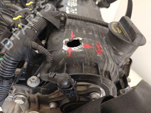 Engine FIAT PANDA (312_, 319_) 1.0 Mild Hybrid (312.PYD1B) | BP36997897M1 - Image 5