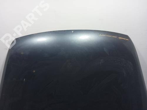 Hood VW TOUAREG (7LA, 7L6, 7L7) 2.5 R5 TDI | BP10491462C1 