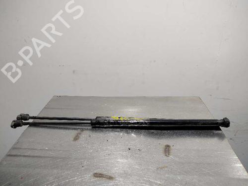 Gassdemper Bakluke CITROËN C4 Grand Picasso I (UA_) [2006-2013]  14355493
