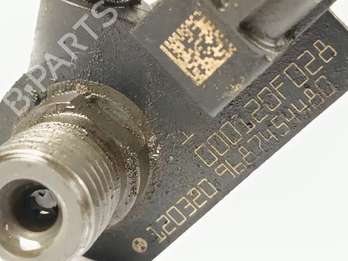 Injector LAND ROVER FREELANDER 2 (L359) 2.2 TD4 4x4 | BP29337882M100 