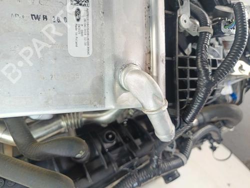 Engine FORD FOCUS IV (HN) 1.5 EcoBlue | BP37758901M1 - Image 9