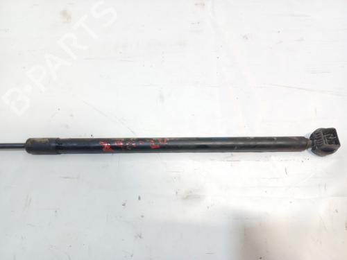 Hood lift support RENAULT MEGANE III Hatchback (BZ0/1_, B3_) 1.9 dCi (BZ0N, BZ0J) | BP18413157C139 