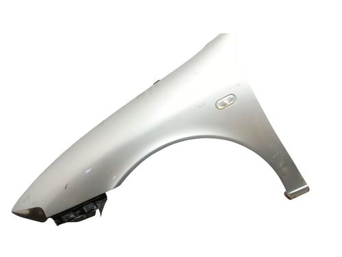 Used Left front fenders SEAT TOLEDO II (1M2) 1.9 TDI (110 hp) 31801464