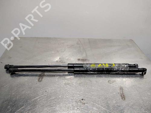 Used Hood lift support LAND ROVER RANGE ROVER SPORT I (L320) 3.0 D 4x4 (245 hp) 14348637