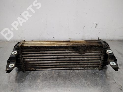 Intercooler FORD TOURNEO CONNECT  | BP10093969M30 