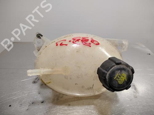 ekpansionstank-renault-captur-i-j5_-h5_-15-dci-90-j5n4-j5m5-j5mw-j5m6-j5al-j5aj-217107259r-2013-10028319 main image