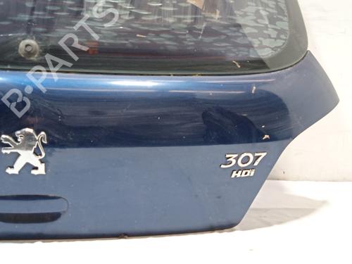 Tailgate PEUGEOT 307 (3A/C) 1.6 HDi 110 | BP18537092C6 