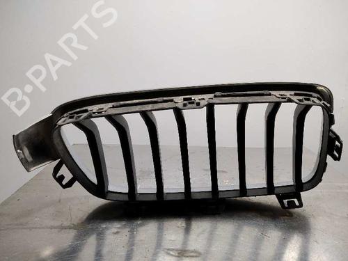 Grille BMW 3 (F30, F80) 316 d | BP14348592C40 