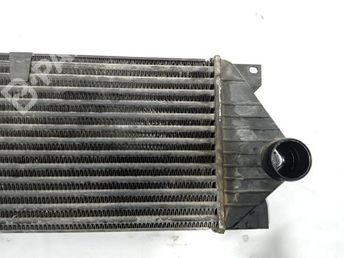 Intercooler MERCEDES-BENZ M-CLASS (W163) ML 270 CDI (163.113) | BP10089995M30 
