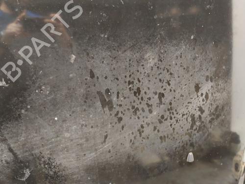 Hood LAND ROVER DISCOVERY III (L319) 2.7 TD 4x4 | BP29305991C1 