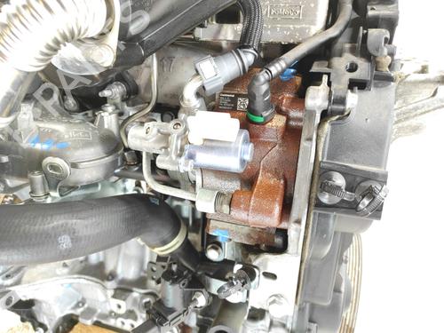 Engine FORD C-MAX II (DXA/CB7, DXA/CEU)  | BP28515316M1 