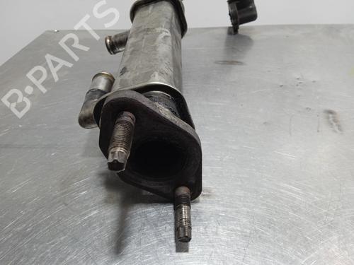 Egr NISSAN X-TRAIL I (T30)  | BP14349425M69 