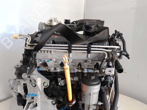 Engine SEAT ALTEA (5P1) 1.9 TDI | BP31042583M1 - Image 14