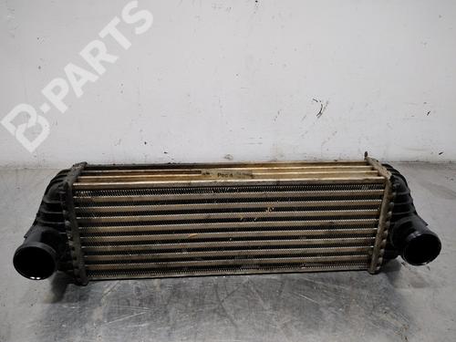 Used Intercooler FORD TOURNEO CONNECT [2002-2013]  10093969