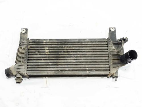 intercooler-nissan-pathfinder-iii-r51-2005-32410712 main image