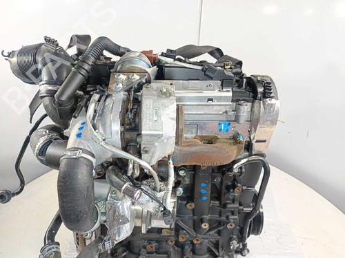 Engine AUDI A3 (8V1, 8VK) 1.6 TDI | BP32091660M1  - Image 8