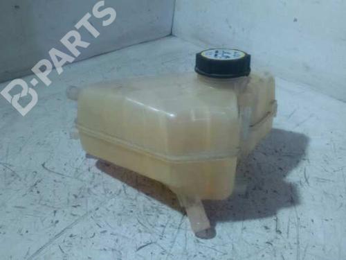Expansion tank FORD FIESTA VI (CB1, CCN)  | BP9988876C120 