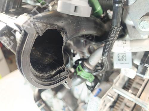 Engine DACIA SANDERO III 1.0 TCe 90 | BP32091659M1 